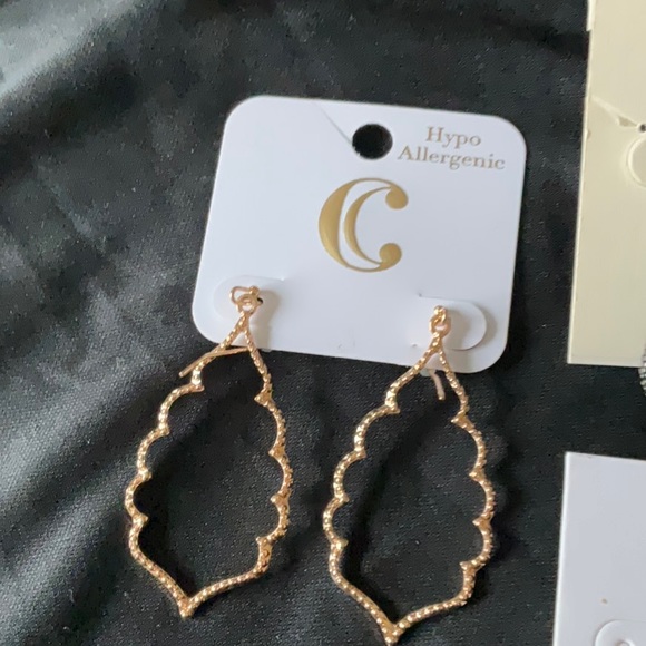 Silverfox Costume Jewelry, 9 Pairs of Earrings $22 Beautiful ♥️🔥💕💙💚 - Picture 4 of 8